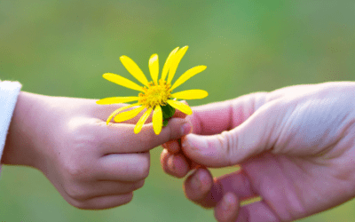 Atelier Filliozat : ACCUEIL ET ACCOMPAGNEMENT DES EMOTIONS