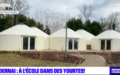 L’Odyssée sur BFM ALSACE