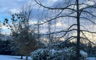 L’hiver arrive à L’Odyssée !