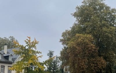 Collège L’Odyssée : une rentrée tournée vers la réussite au brevet